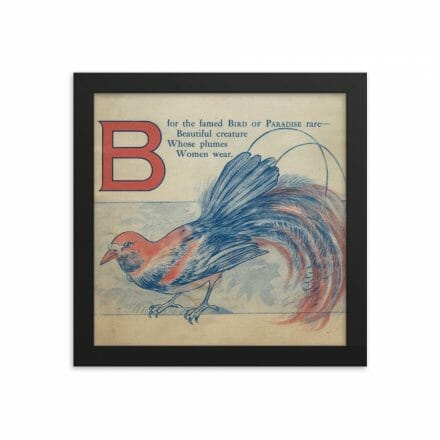 This B is for Bird of Paradise - framed poster features a stylish depiction of a bird.