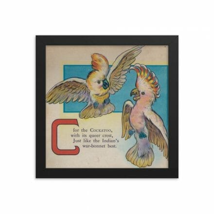 This "C is for Cockatoo" framed poster features two cockatoos alongside the letter c.