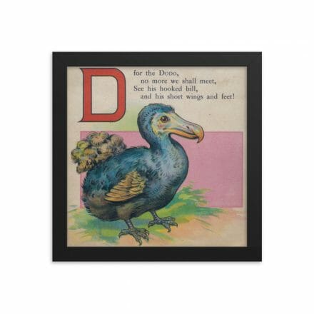 A D is for Dodo - Framed poster of a bird with the letter d on it, resembling a Dodo.