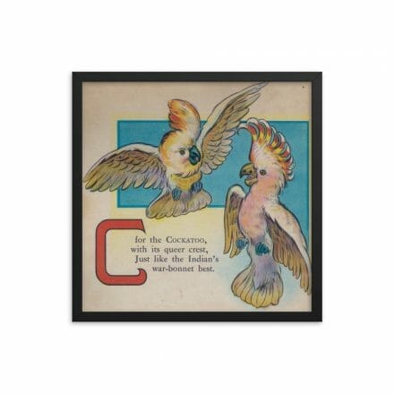 A framed poster of C is for Cockatoo.