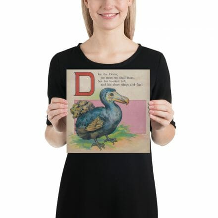 A woman is holding up a poster with an image of a bird and the letter D is for Dodo - print from the ABC Book of Birds, which is printed in the ABC book.