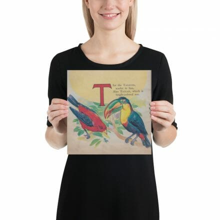 A woman holding up a T is for Toucan and Tanager – print from the ABC Book of Birds.