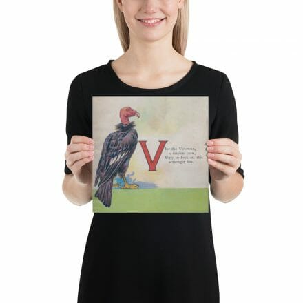 A woman showcasing a V is for Vulture – print from the ABC Book of Birds beside the letter "v" from the ABC Book of Birds.