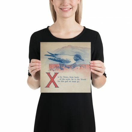 A woman holding up a poster with an image of a bird and the letter x from the X is for Xema – print from the ABC Book of Birds.