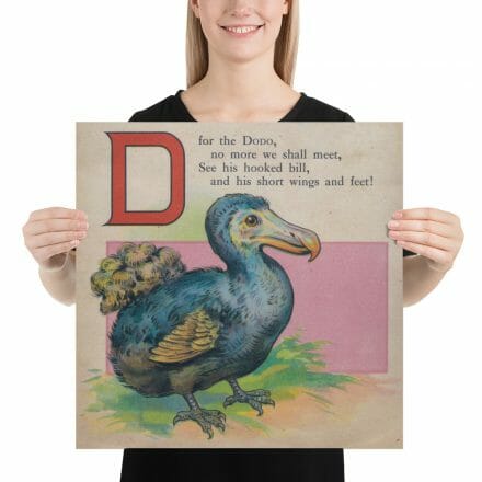 A D is for Dodo - print from the ABC Book of Birds of a bird holding a letter D.