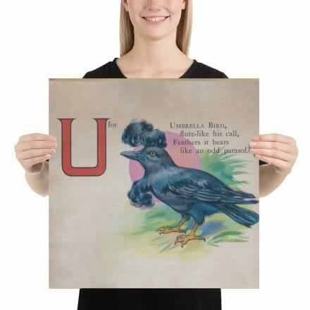 A woman is holding up a U is for Umbrella bird print from the ABC Book of Birds.
