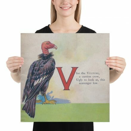 A woman is holding up a V is for Vulture – print from the ABC Book of Birds.