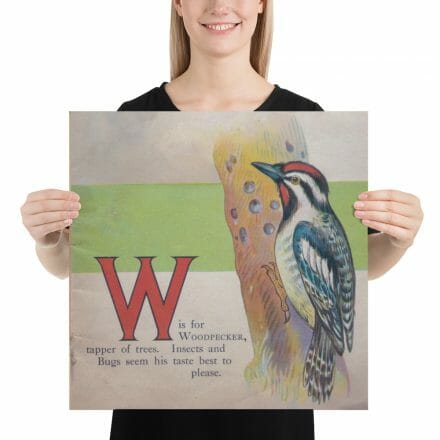 A woman is holding up a poster with an image of W is for Woodpecker – print from the ABC Book of Birds.